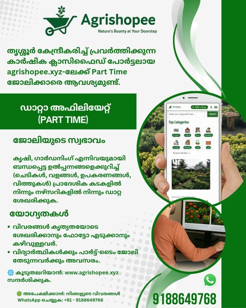 เดชเดพเตผเดเตเดเต-เดเตเด เดกเดพเดฑเตเดฑเดพ เด
เดซเดฟเดฒเดฟเดฏเตเดฑเตเดฑเต (เดคเตเดถเตเดถเตเตผ)