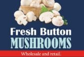 Button Mushrooms