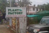 Plant Factory – Vellanikkara Thrissur
