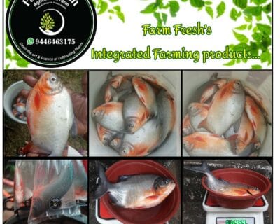 AddText_01-02-01.39.02