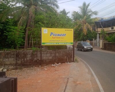 IMG_20250425_181110_1