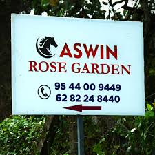 aswinrose