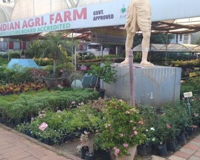 southindianagrifarm