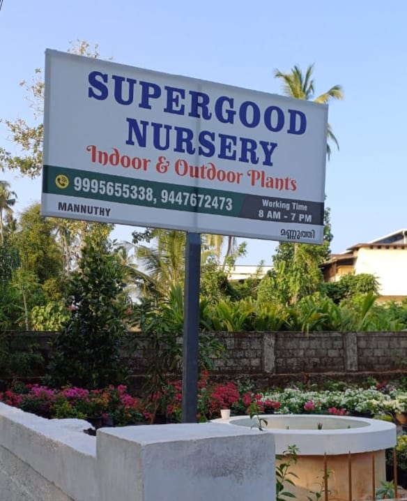 Supergood Plant Nursery  Mannuthy