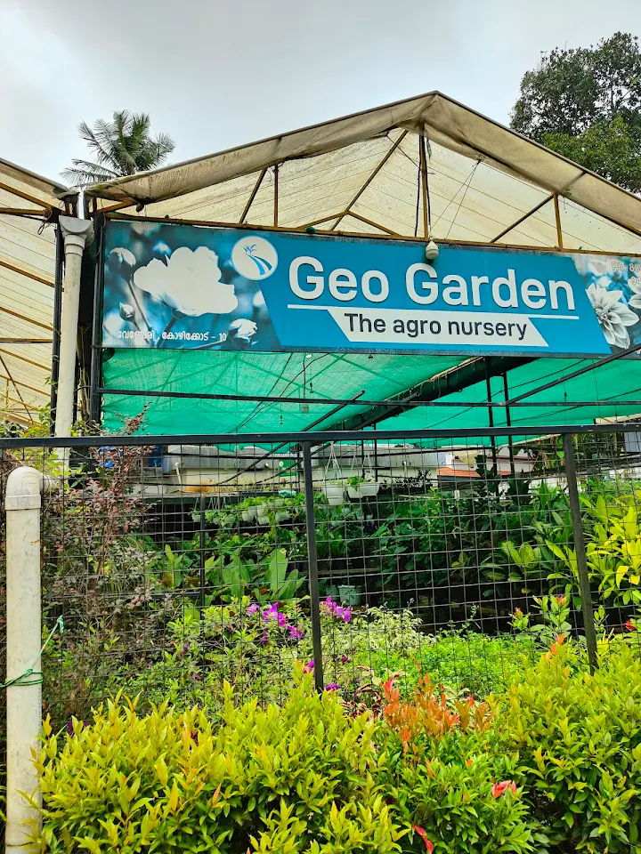 Geo Garden