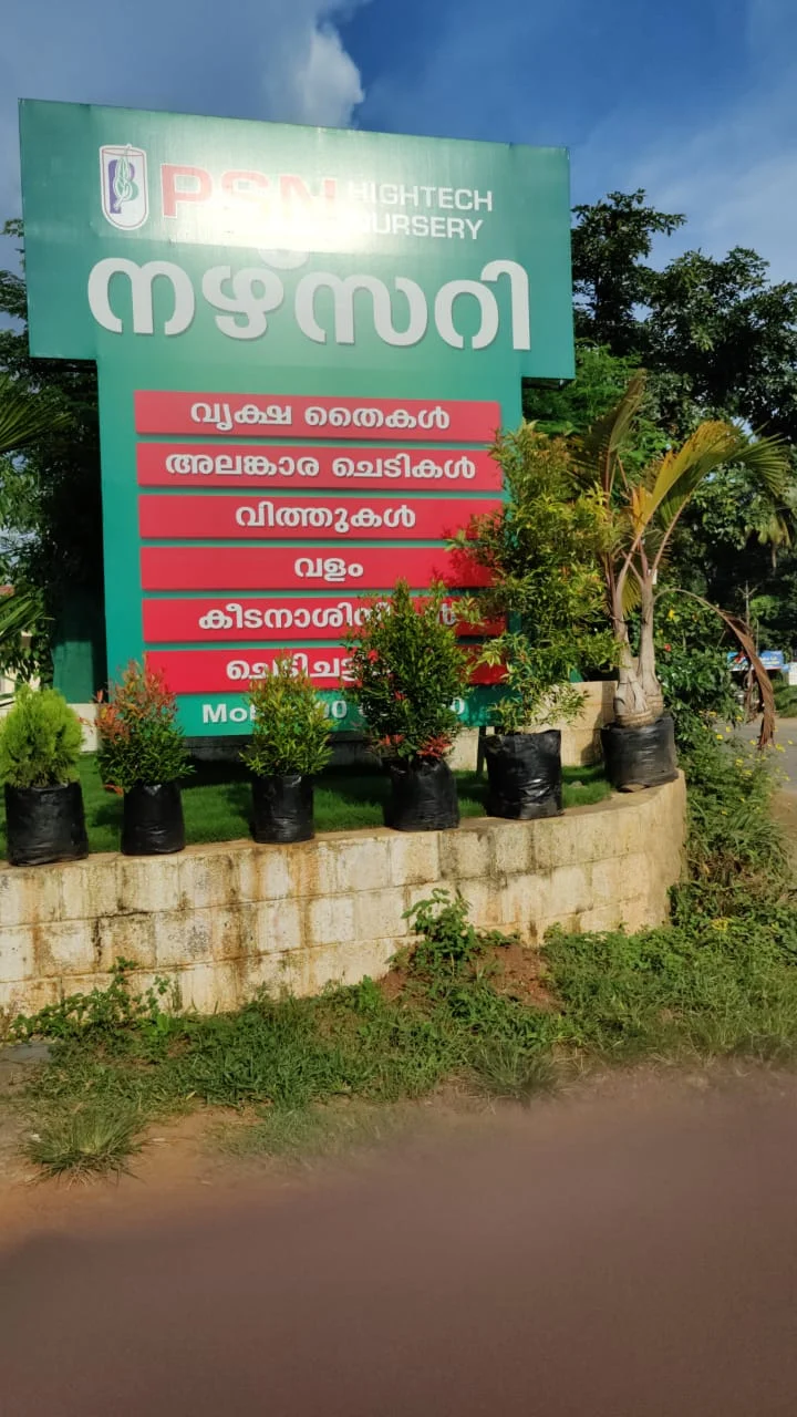 PSN HighTech Nursery