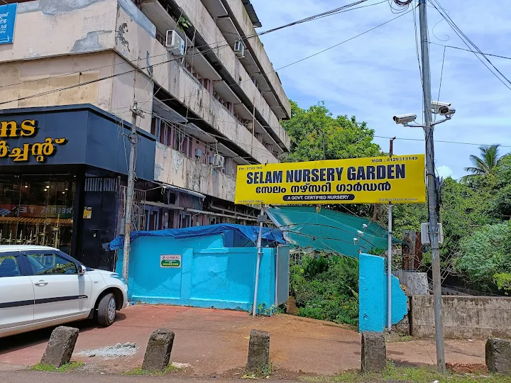 Selam Nursery Garden