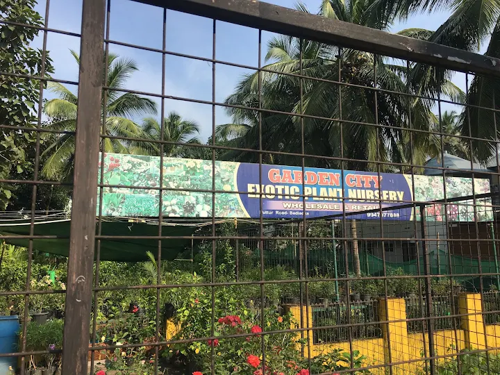 Garden City Exotic Plant Nursery