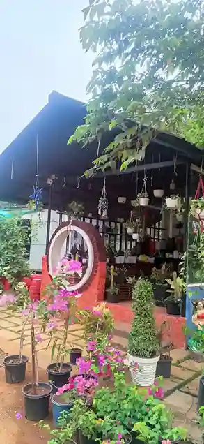 Santhosham Plants and Garden